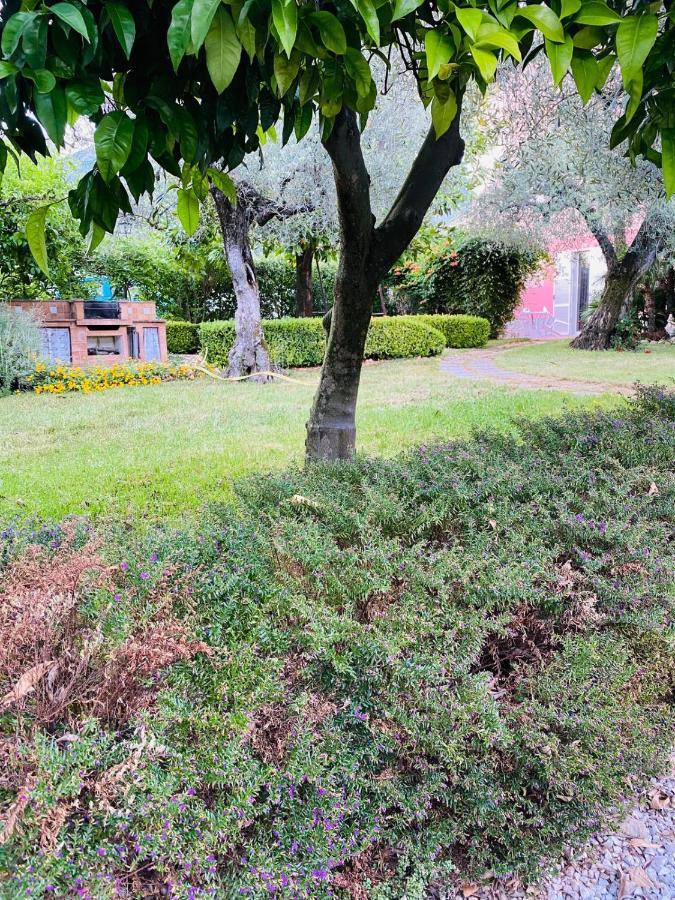 Cali-Formia B&B エクステリア 写真